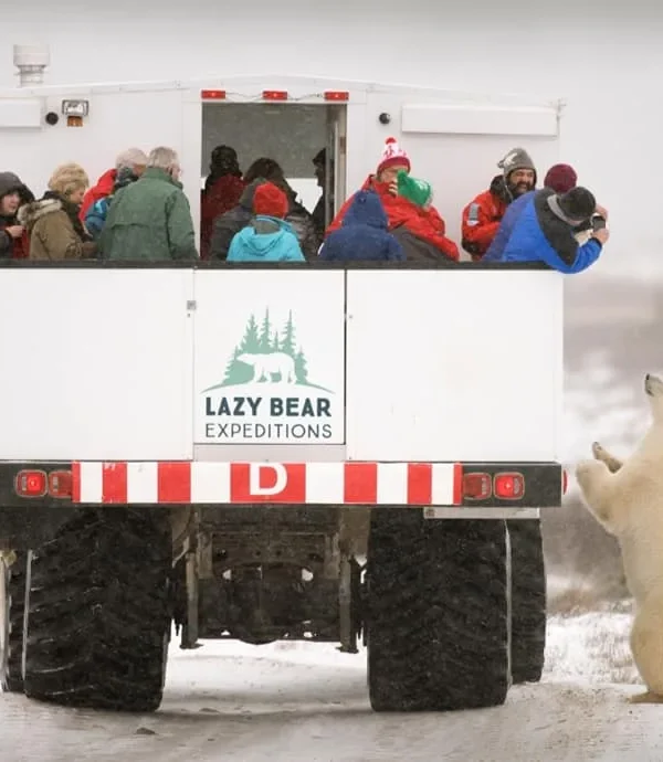 Canada - Avventura tra gli orsi polari