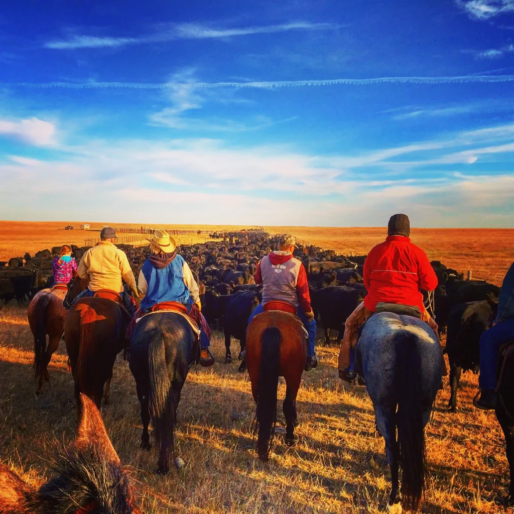 Canada – Rocky Ranches