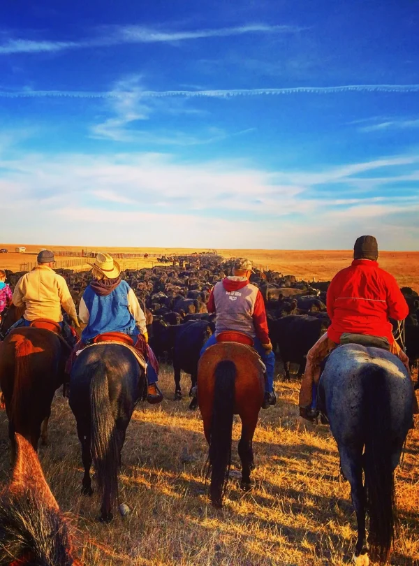 Canada – Rocky Ranches