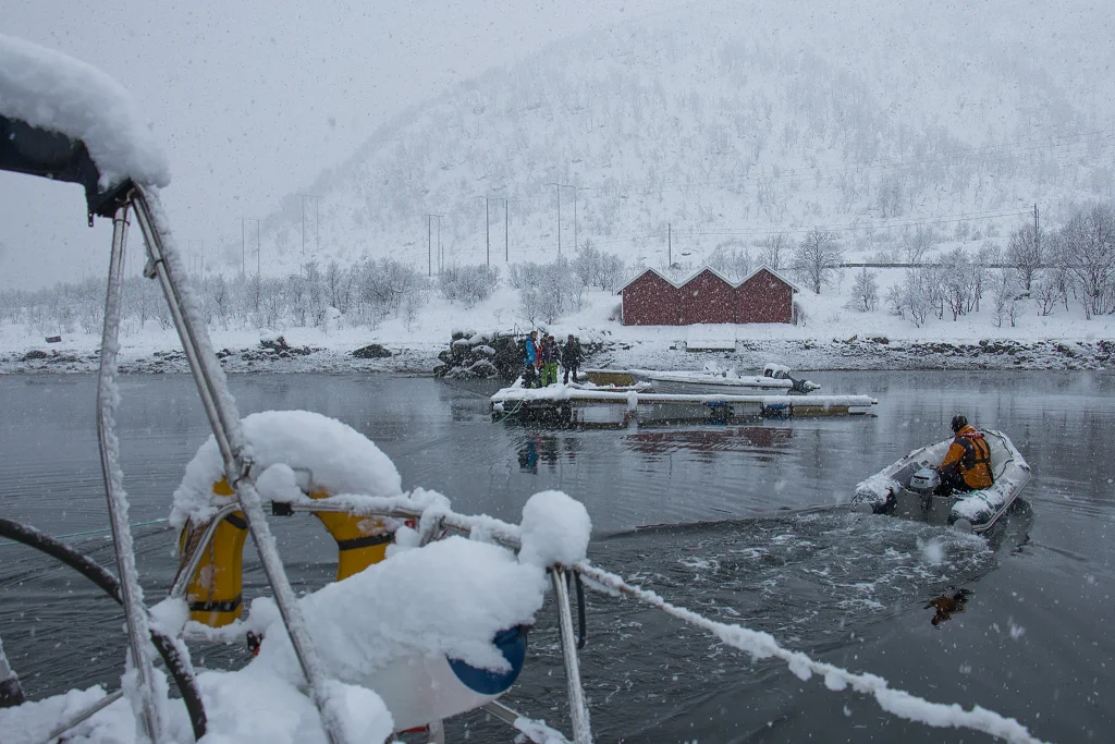 Norvegia – Sci alpinismo e vela alle Isole Lofoten