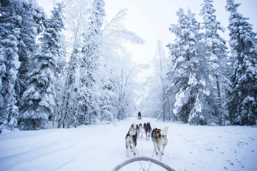 Finlandia - Helsinki e la Lapponia finlandese