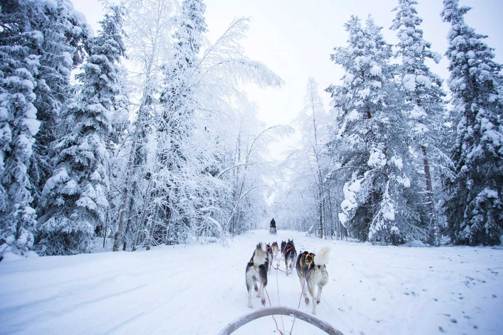 Finlandia - Helsinki e la Lapponia finlandese