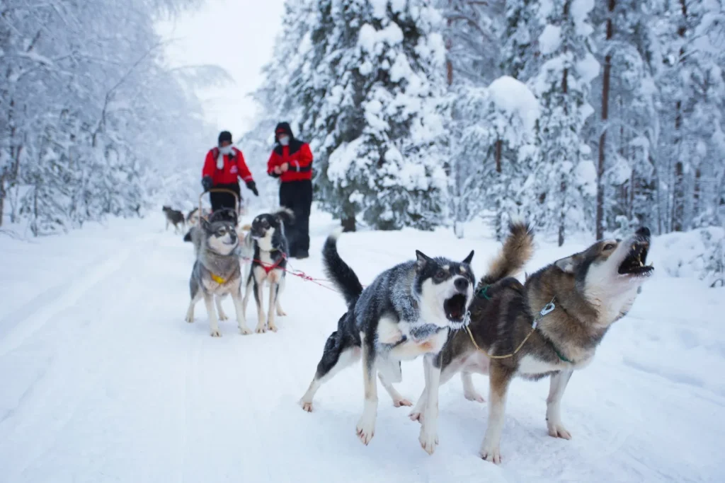 Finlandia - Helsinki e la Lapponia finlandese