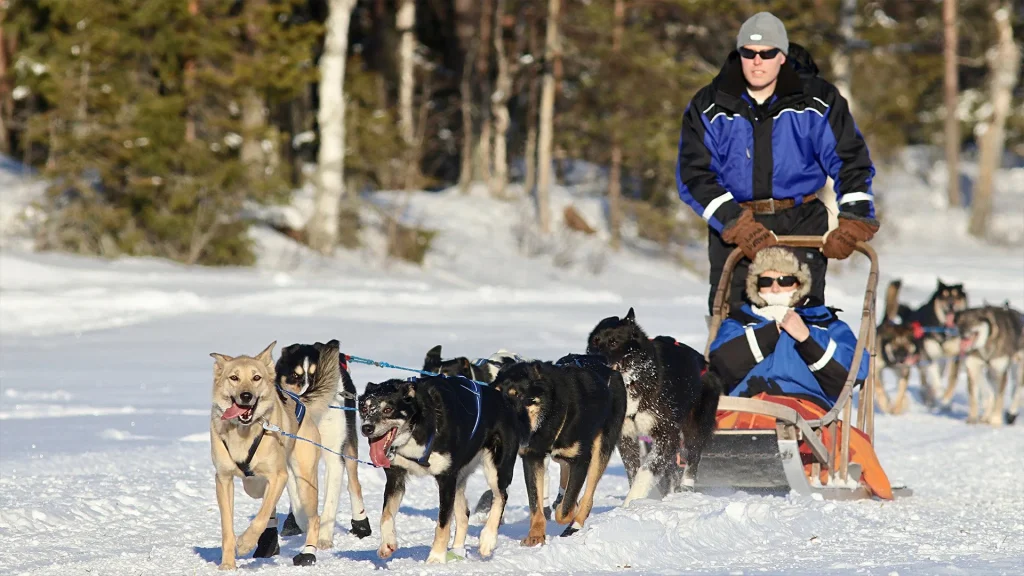 Finlandia - Rovaniemi e la Lapponia Finlandese