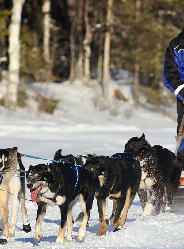 Finlandia - Rovaniemi e la Lapponia Finlandese