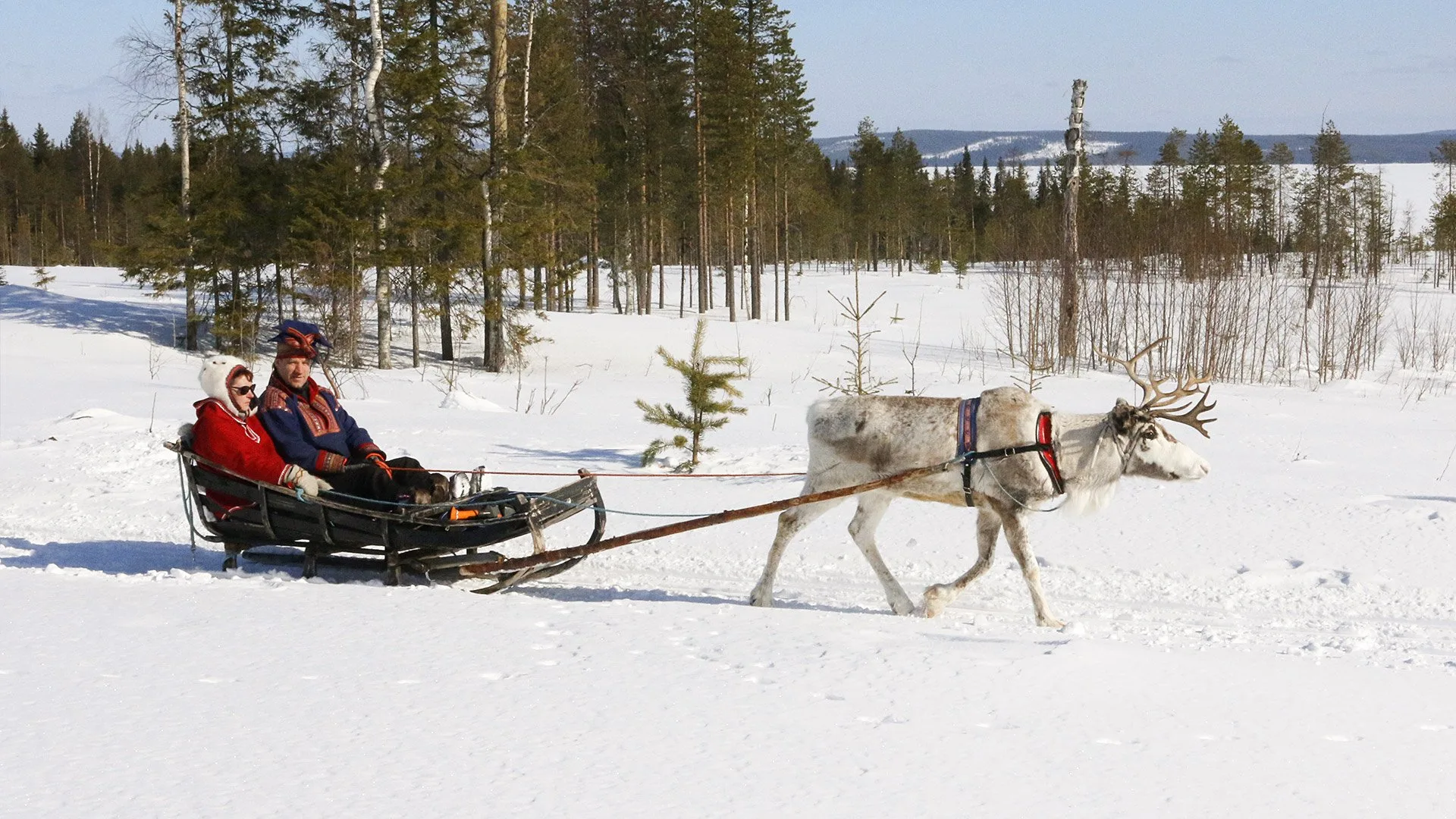 Finlandia - Rovaniemi e la Lapponia Finlandese