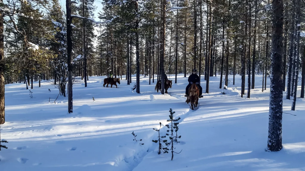 Finlandia – 7 giorni di aurora all’Aurora Village