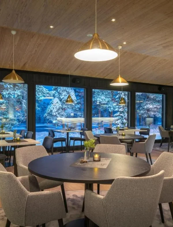 Finlandia – Aurora Break al Wilderness Hotel Juutua