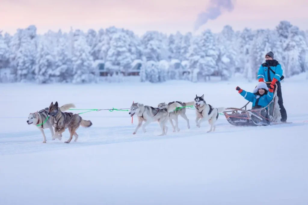 Finlandia – Aurora Break al Wilderness Hotel Juutua