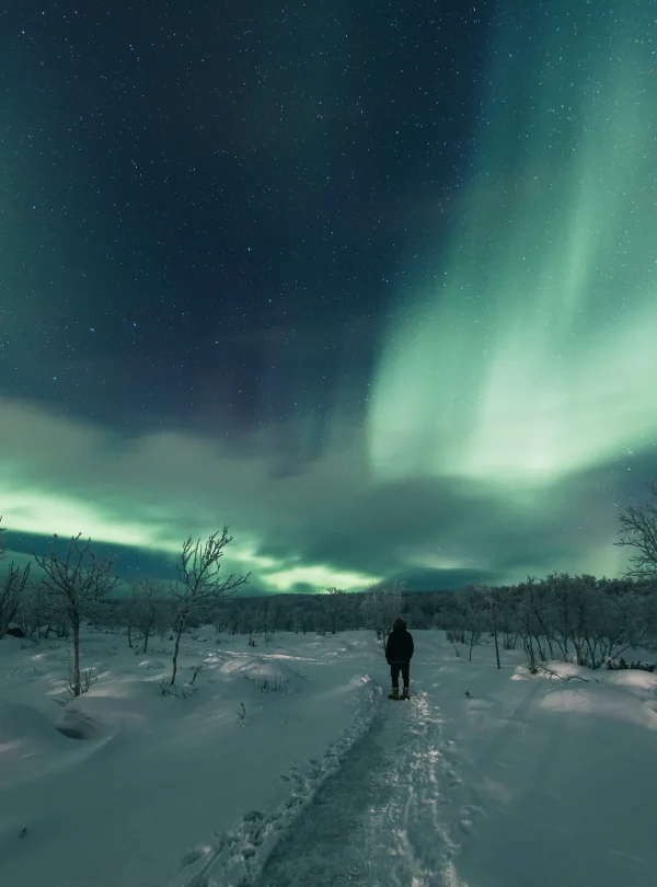 Finlandia e Norvegia – Aurora boreale oltre il confine