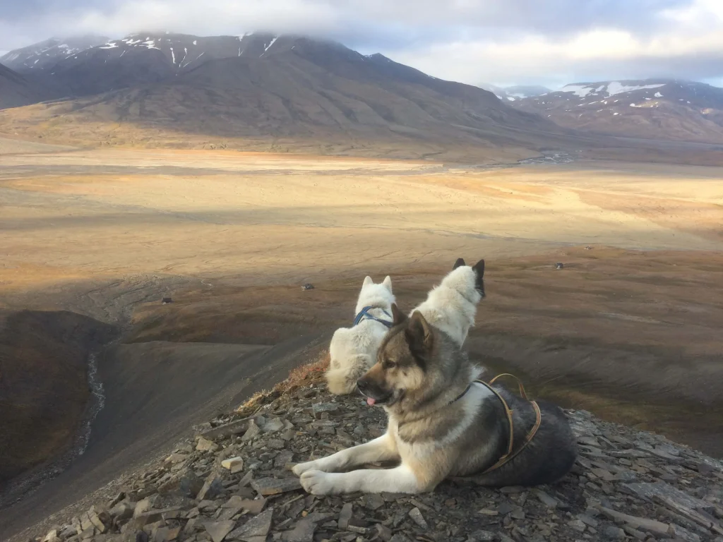 Isole Svalbard - Opera Trek