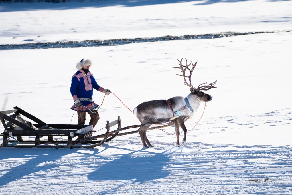 Norvegia – Arctic Adventure