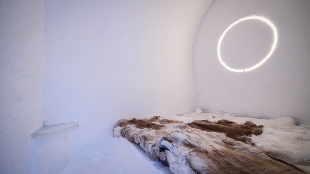 Norvegia – Arctic Adventure