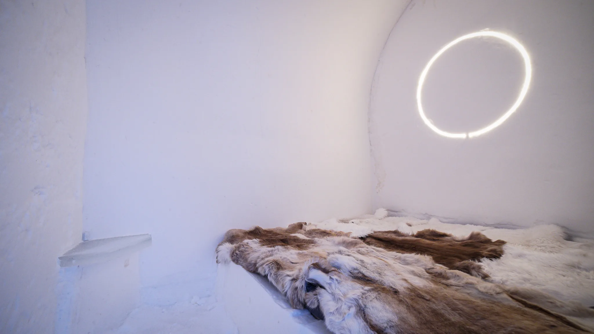 Norvegia – Arctic Adventure