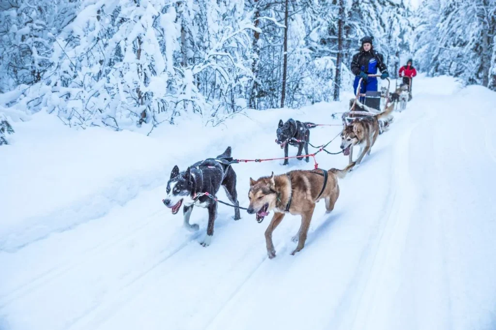 Finlandia – Beana Laponia Luxury Break