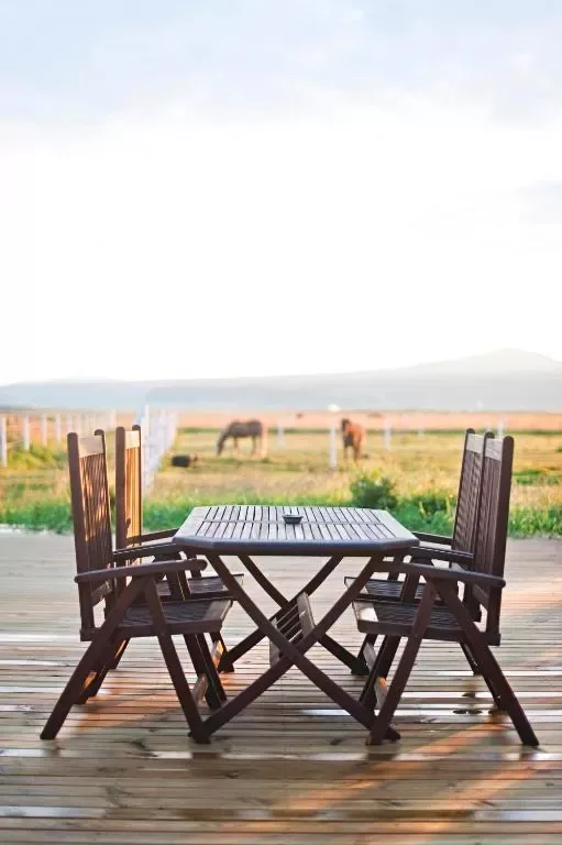 Islanda – Country life style in fattoria