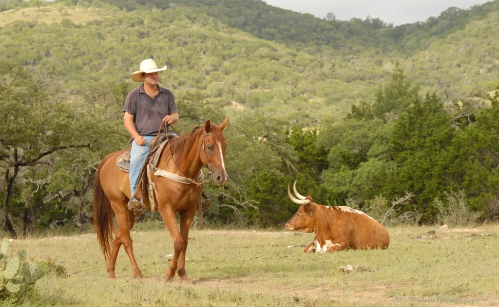 USA – Texas: ranch, rodei e barbecue