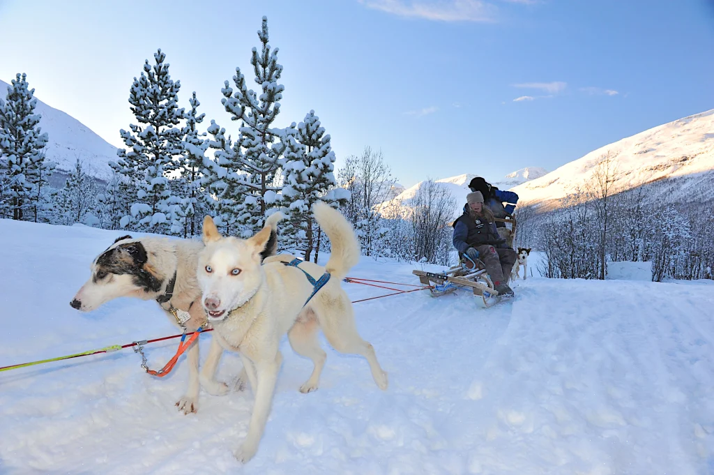 Norvegia – Lyngen Lodge e aurora boreale