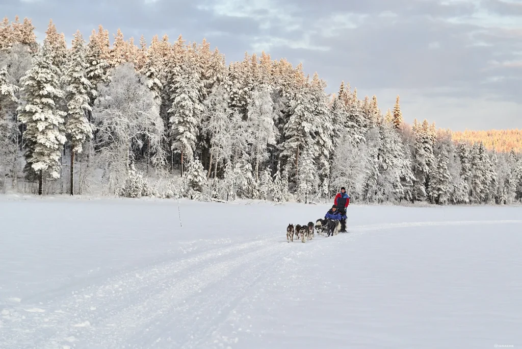 Svezia – Luna di miele di lusso in Lapponia Svedese