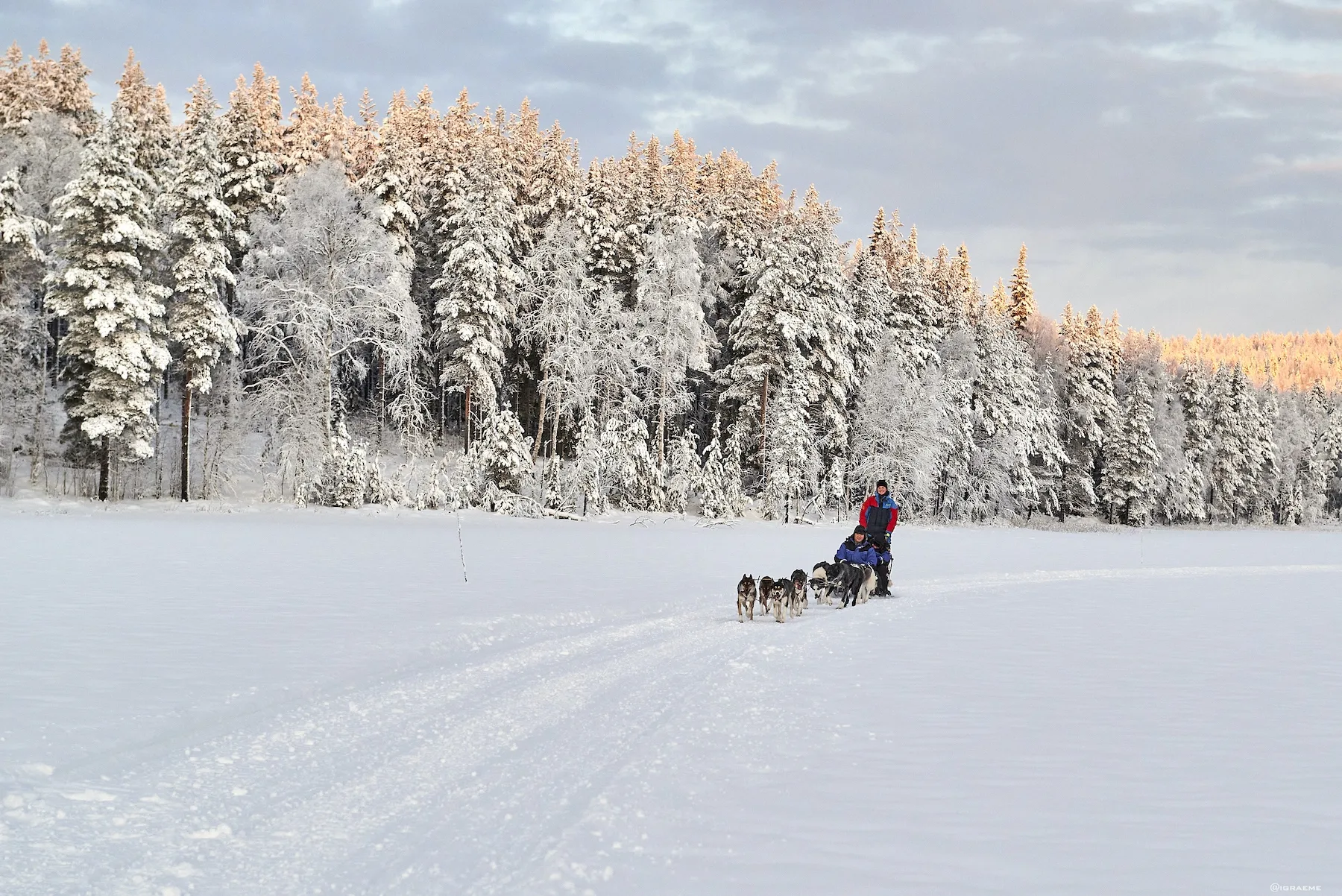 Svezia – Luna di miele di lusso in Lapponia Svedese