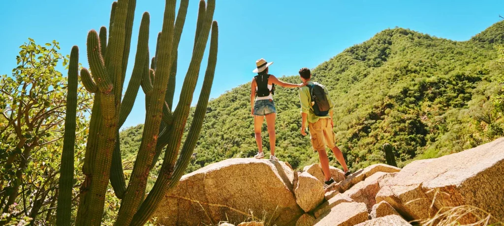 Baja California - Assaggio di Baja California