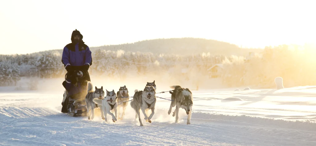 Finlandia - Viaggio di nozze in Lapponia finlandese