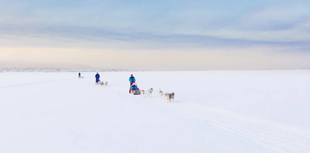 Finlandia - Aurora break al Wilderness Hotel Inari