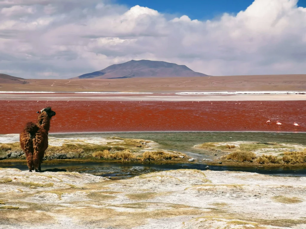 Cile – Bolivia - Perù