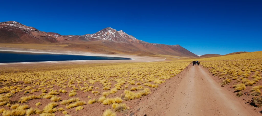 Cile – Bolivia - Perù
