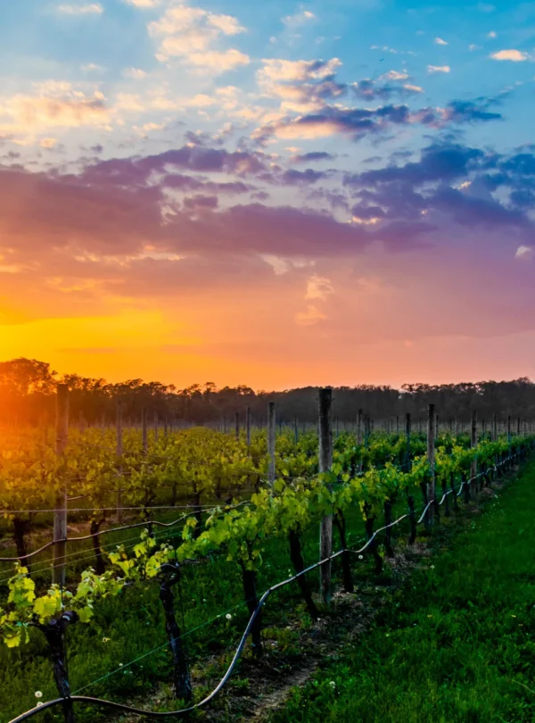 USA – Da Boston a New York attraverso gli Hamptons