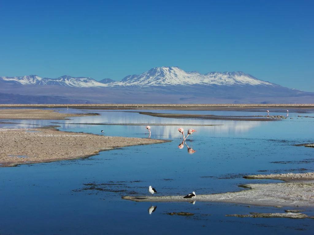 Cile – Bolivia - Perù