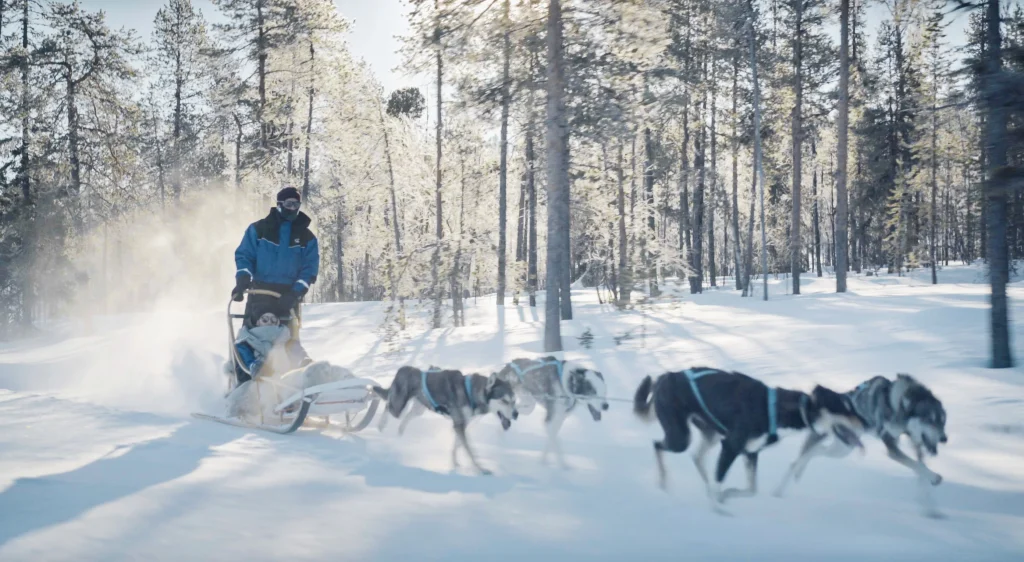 Finlandia – 7 giorni di aurora all’Aurora Village
