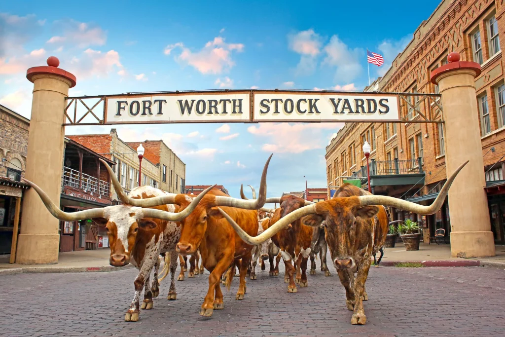USA – Texas: ranch, rodei e barbecue