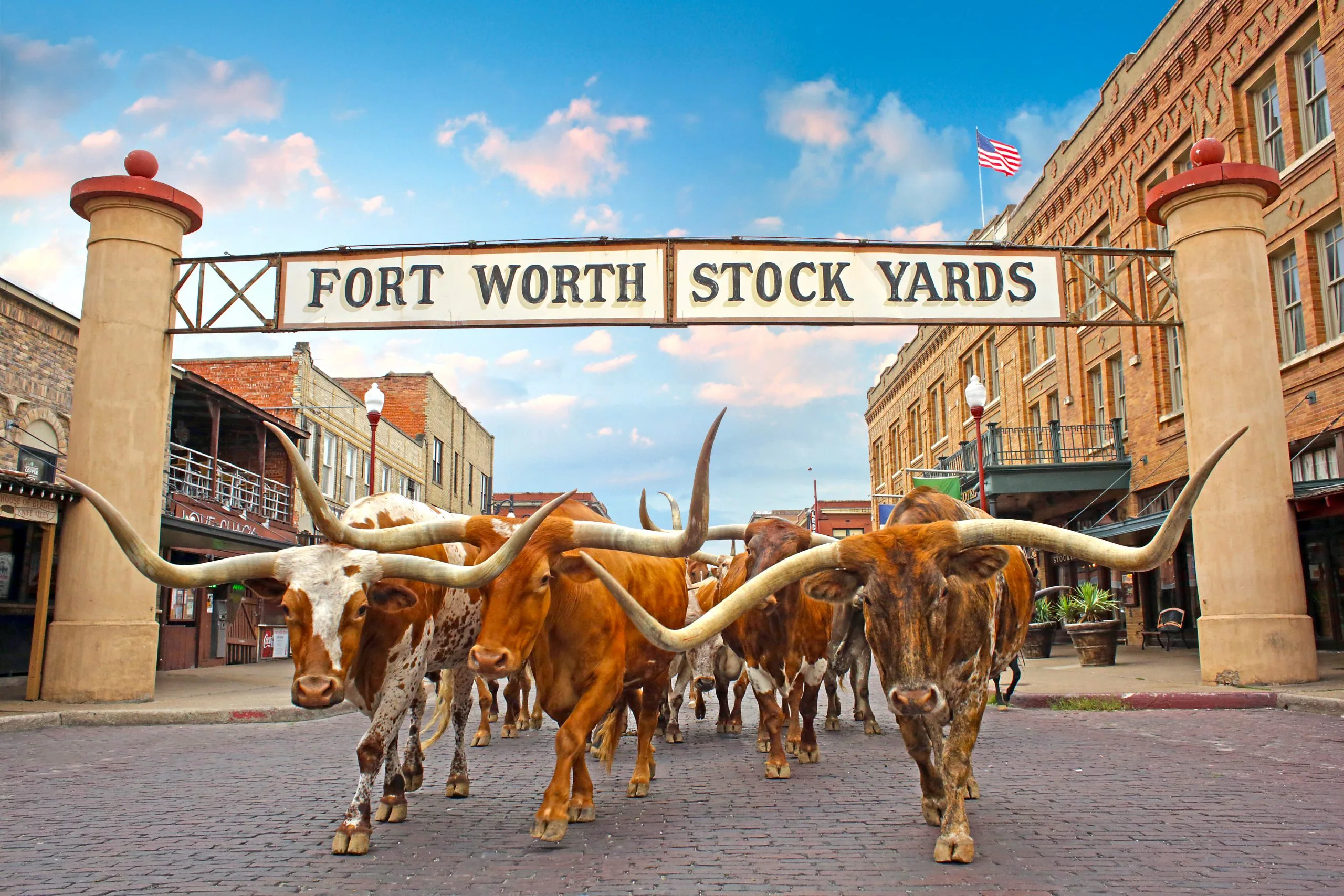 USA – Texas: ranch, rodei e barbecue
