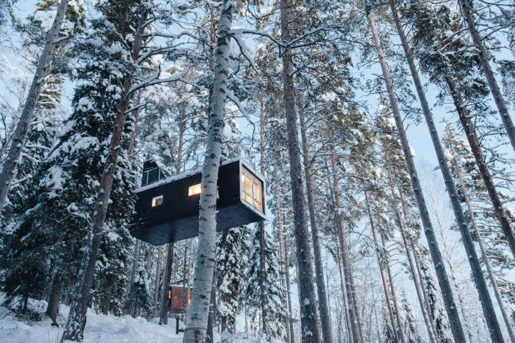 Svezia - Avventure in Lapponia svedese e Tree Hotel