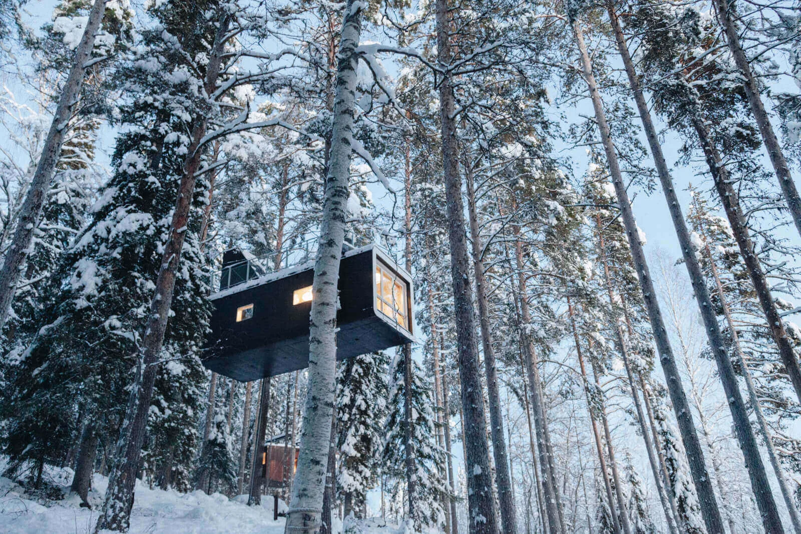 Svezia - Avventure in Lapponia svedese e Tree Hotel