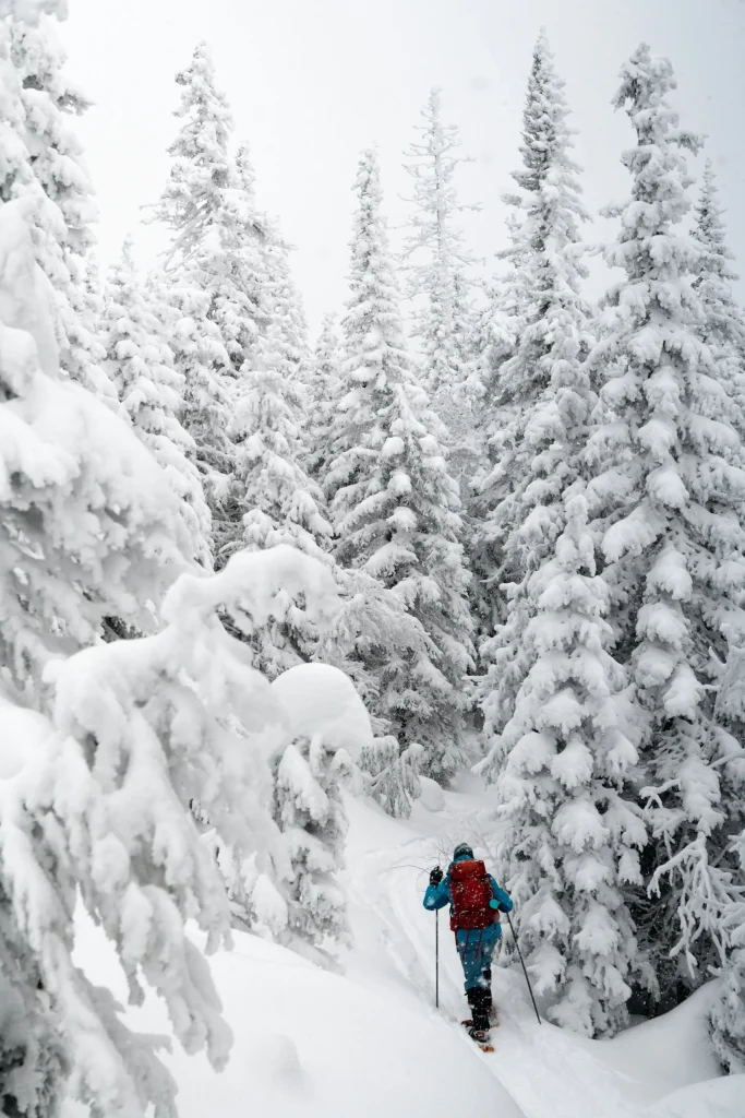 Canada - Viaggio invernale nel Canada dell'Est
