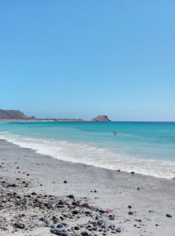 Baja California – Meraviglie del Mar di Cortes