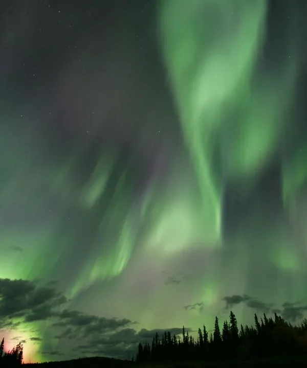 Canada – Autunno nello Yukon: in jeep tra foliage e aurora
