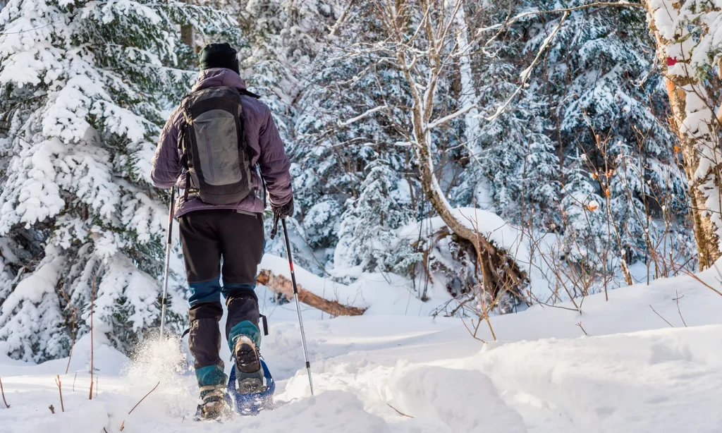Finlandia – Beana Laponia Luxury Break