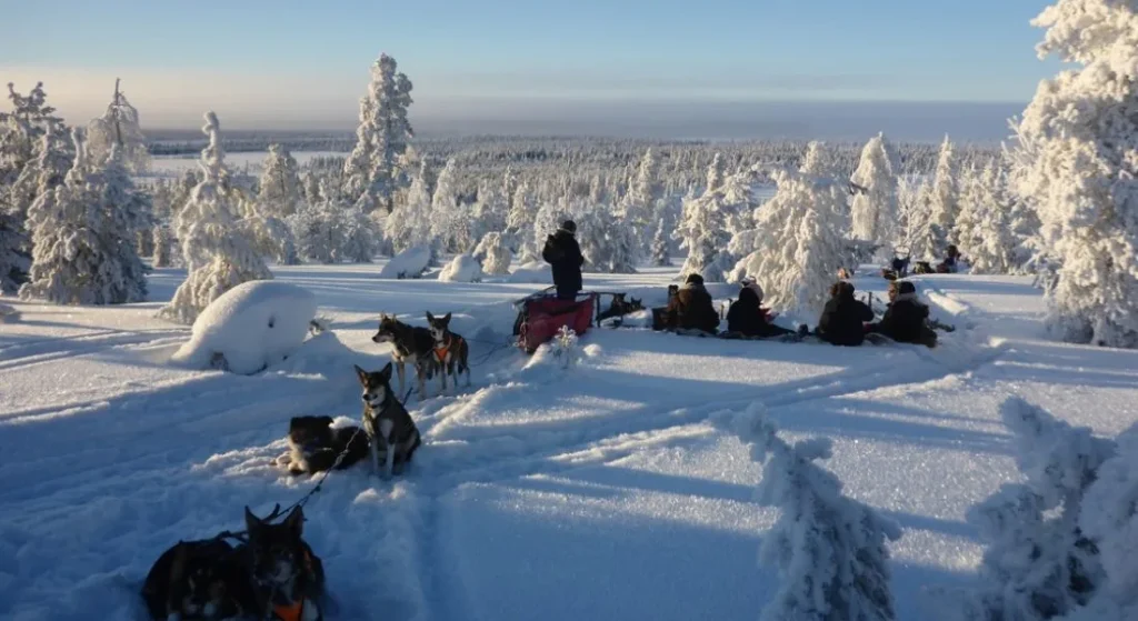 Svezia – Avventure in Lapponia svedese e Tree Hotel