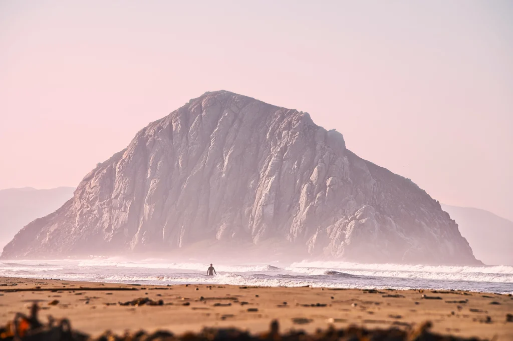 USA – La California e i vigneti