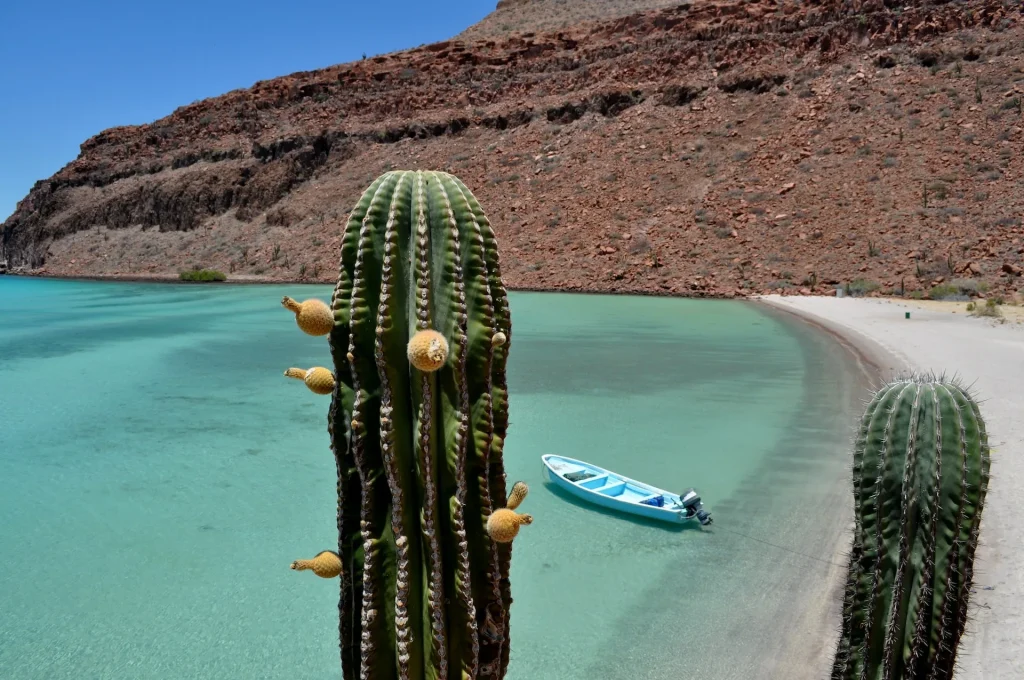 Baja California – Baja California del Sud