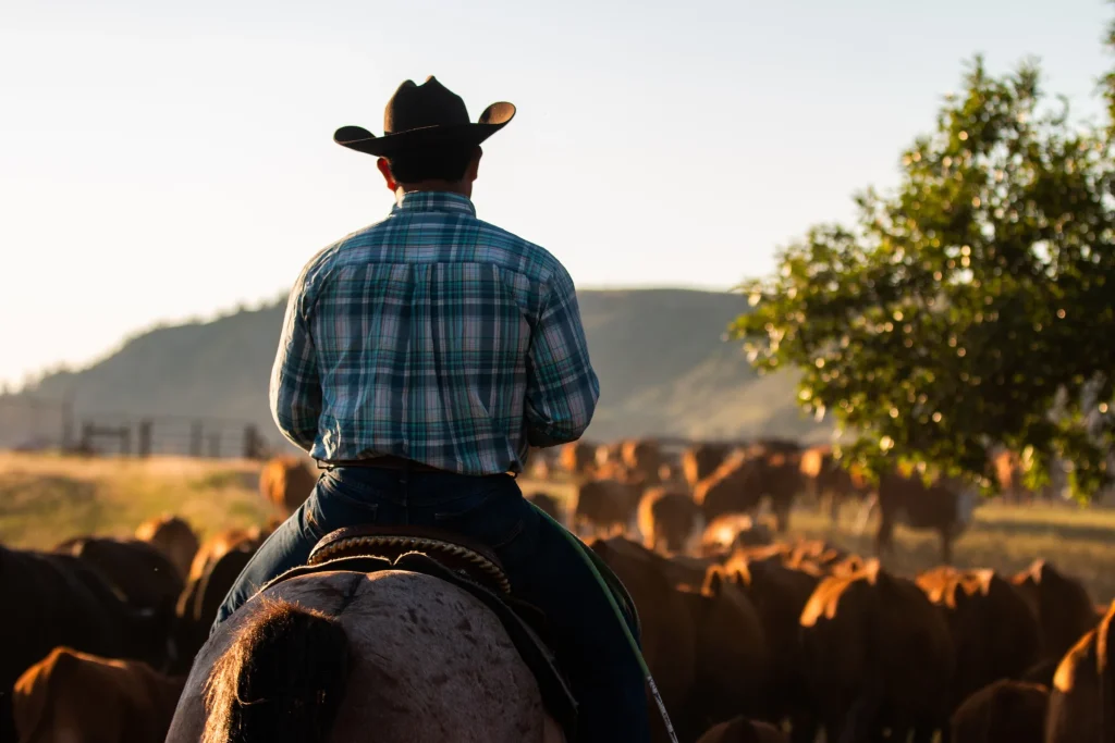 Soggiornare in un ranch americano