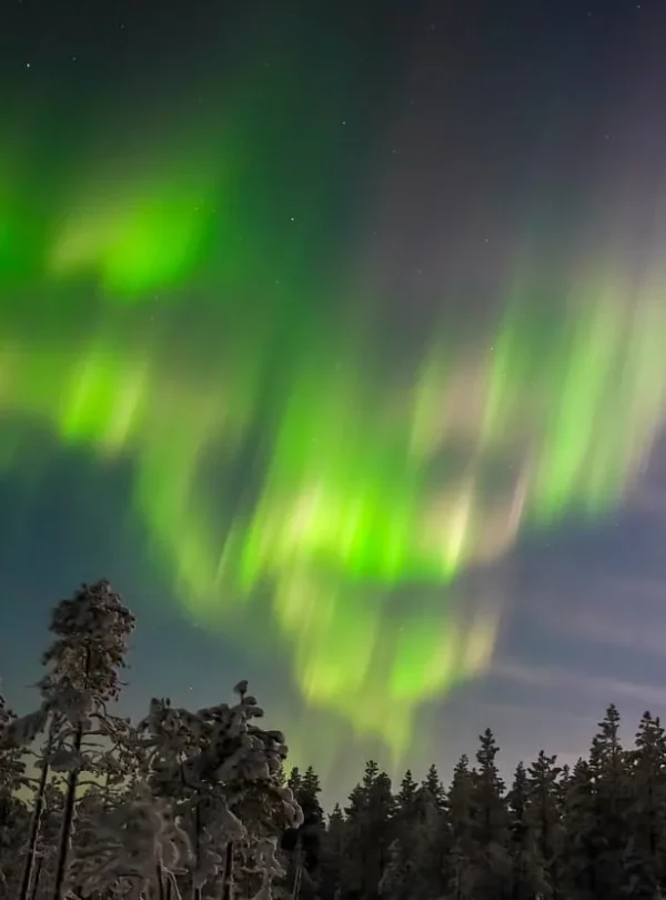 Finlandia - Esperienza artica a Rovaniemi