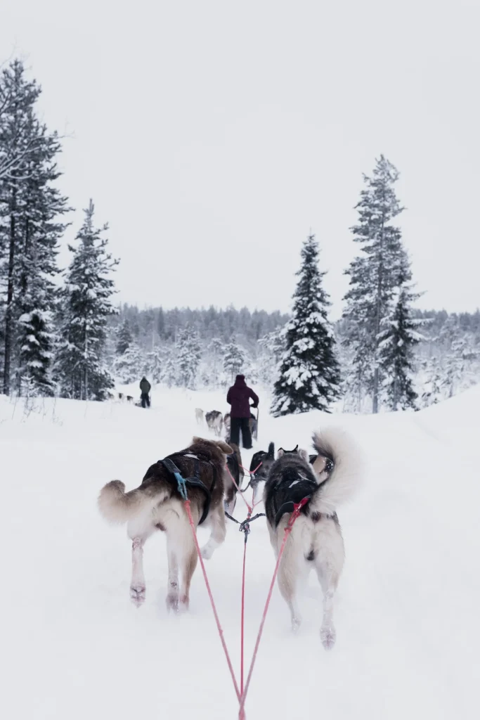 Finlandia e Norvegia - Avventure nordiche e aurora boreale