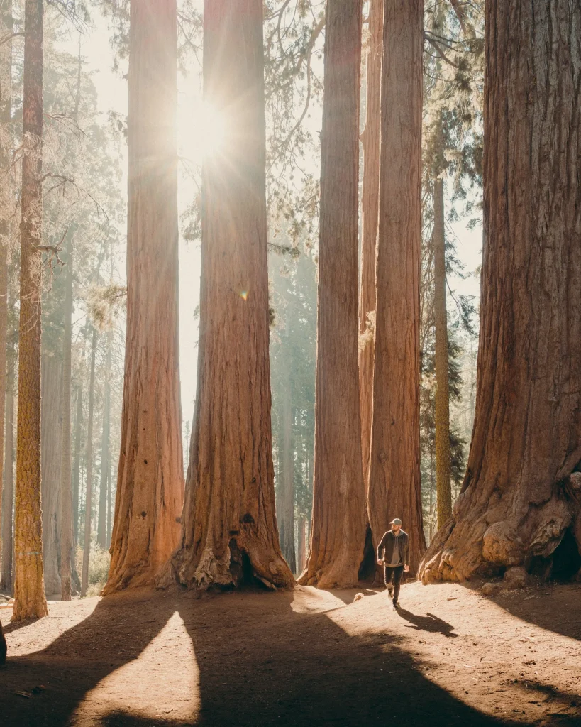 USA – California Grand Circle