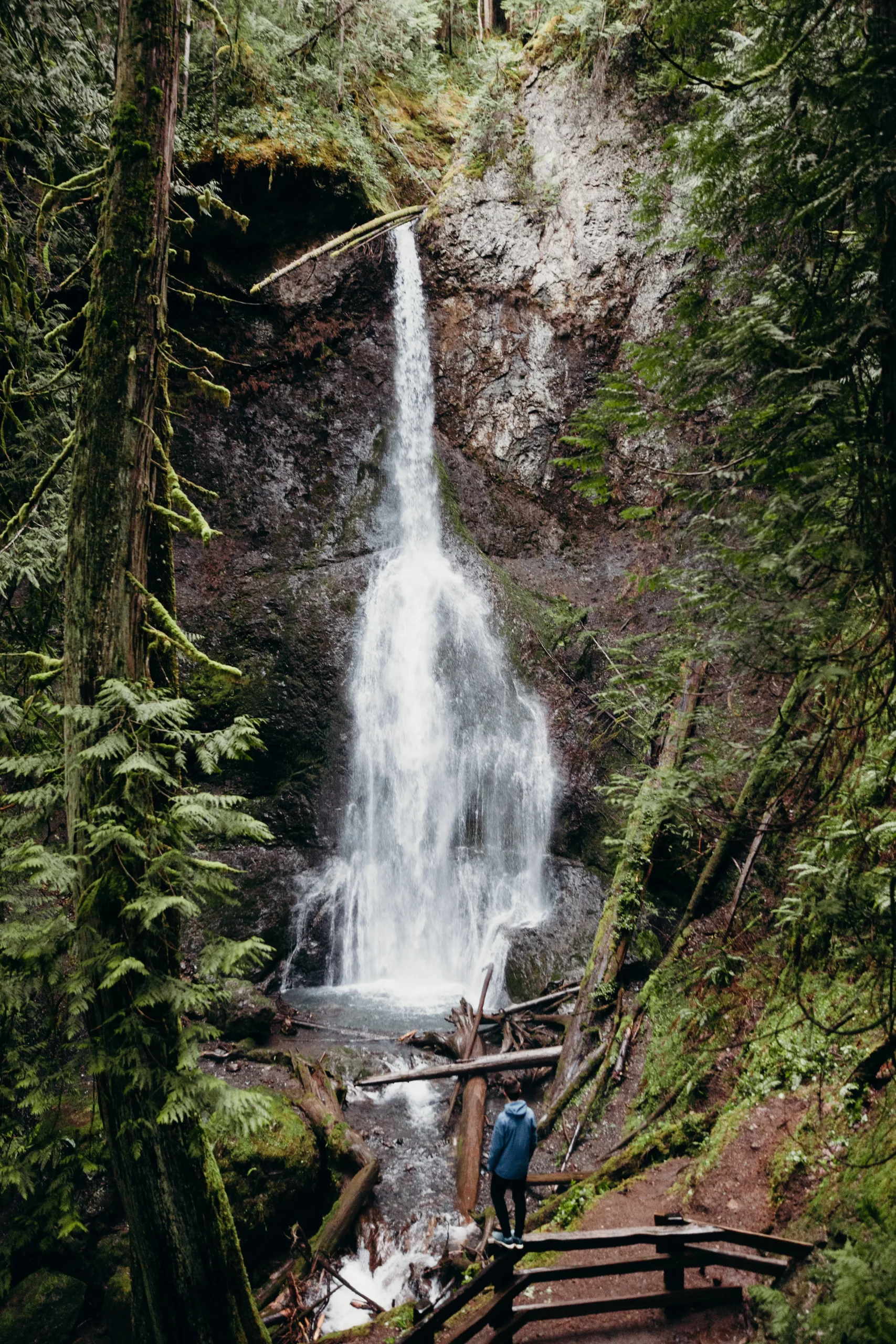 USA – Da Seattle a Vancouver