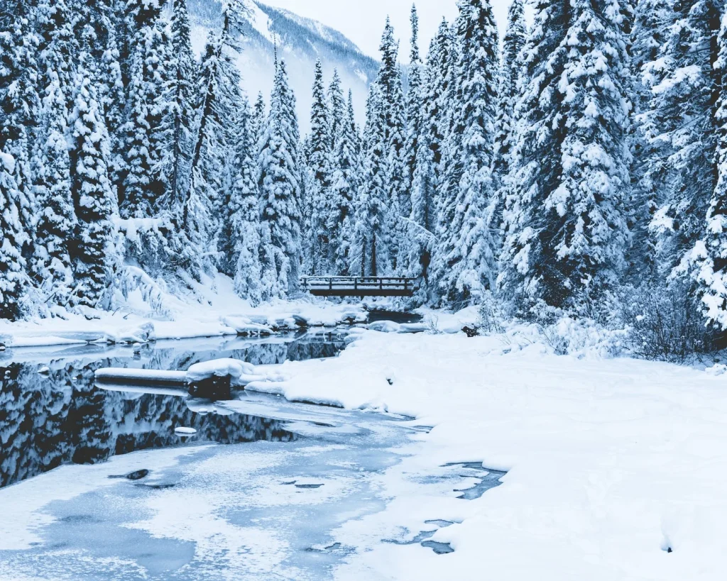 Canada – Inverno nel cuore delle Rockies canadesi