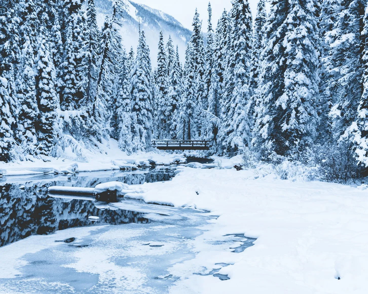 Canada – Inverno nel cuore delle Rockies canadesi